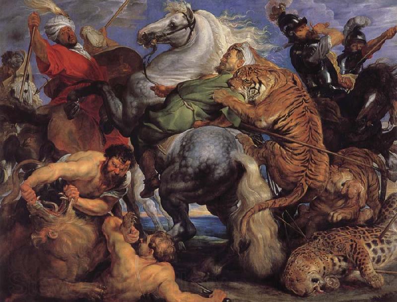 Peter Paul Rubens Tiger-and Lowenjagd Germany oil painting art
